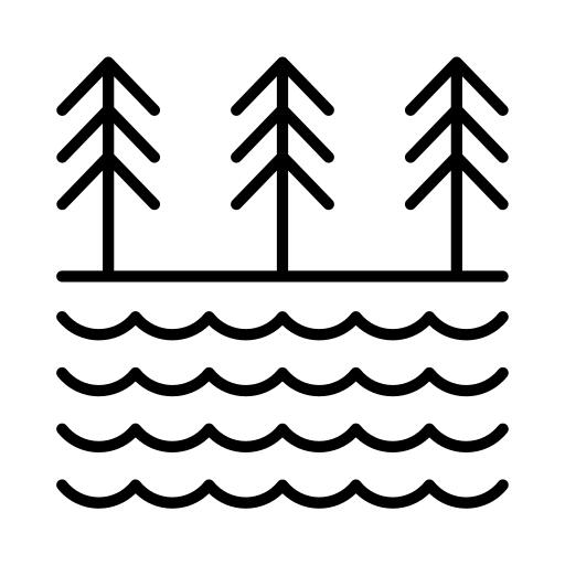 水