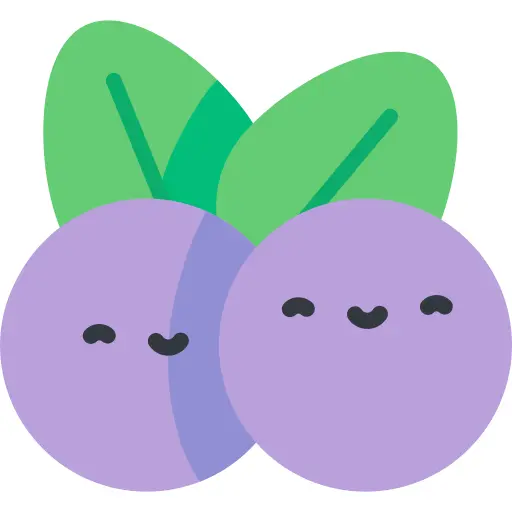 Blueberry
