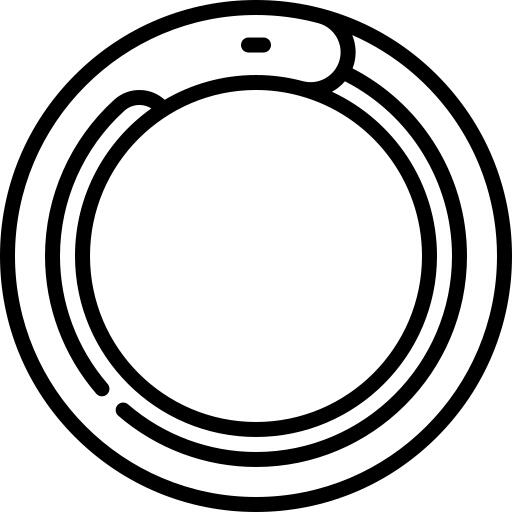 Ouroboros