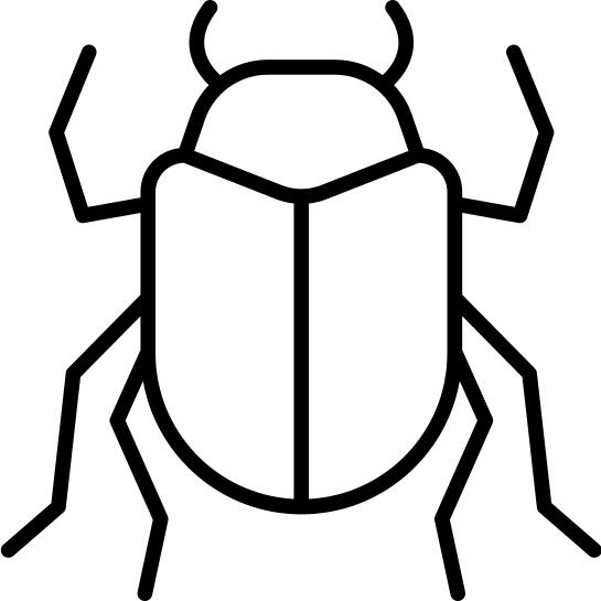 Stag beetle