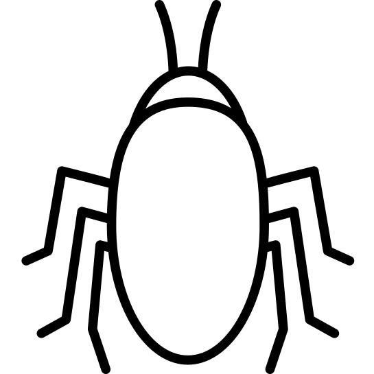 Roach