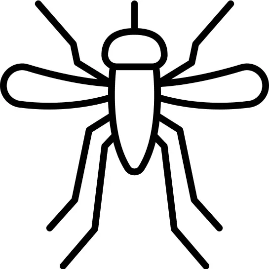 Mosquito