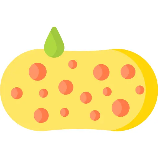Sponge