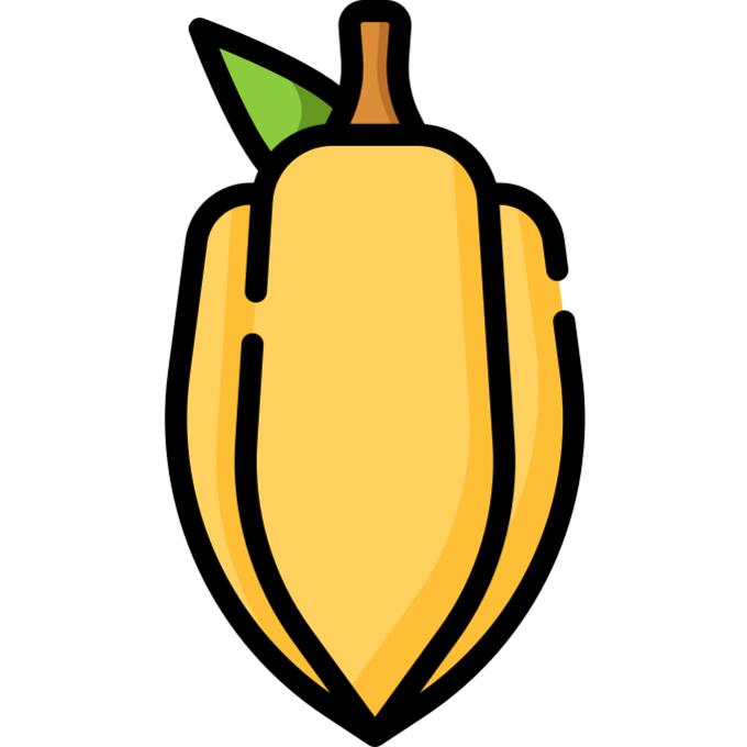 Cocoa