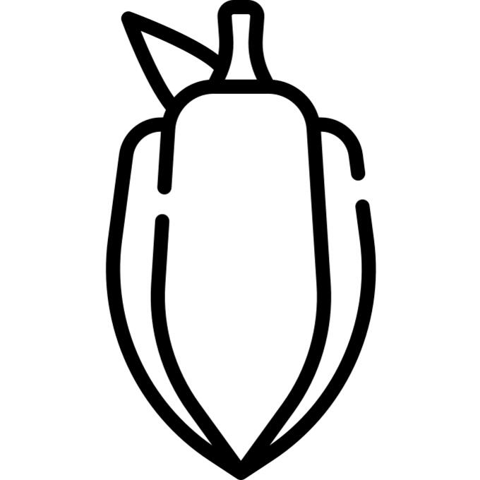 Cocoa