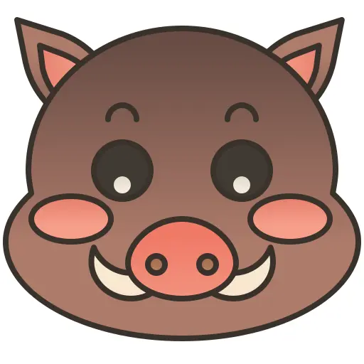 公猪