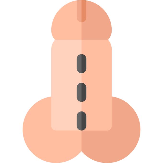 Penis