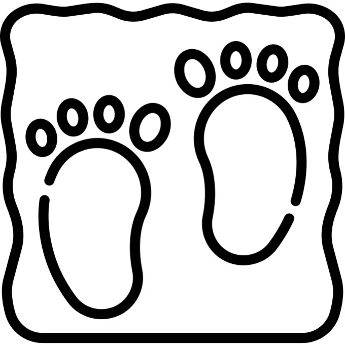 Footprints