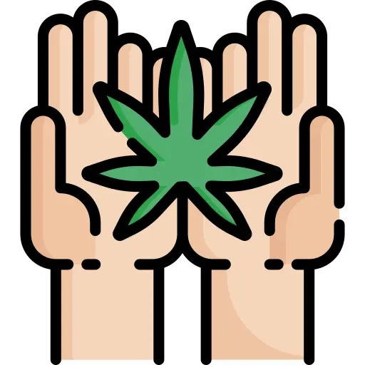 Cannabis