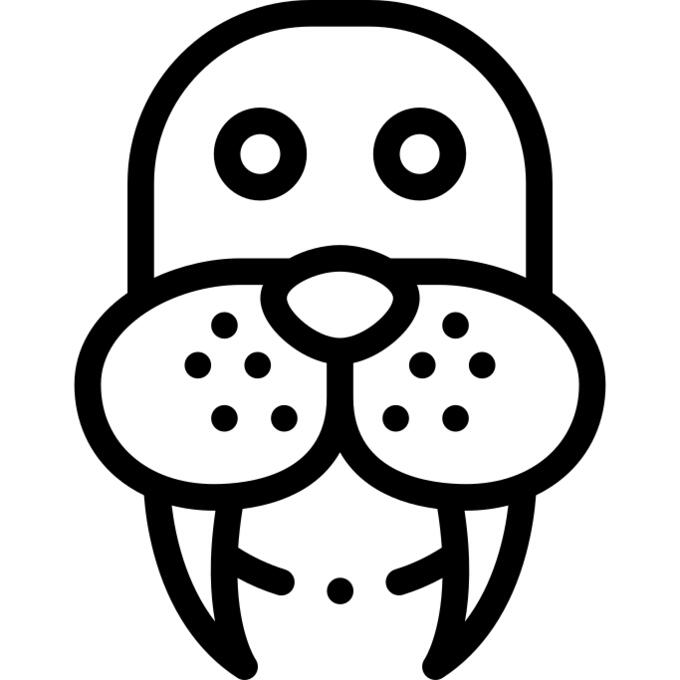Walrus
