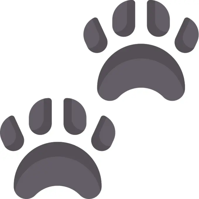 Paw print