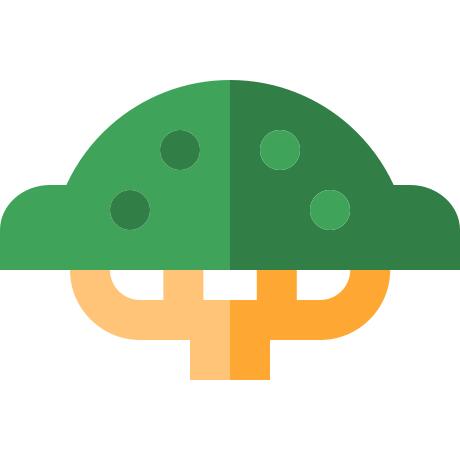 枫树