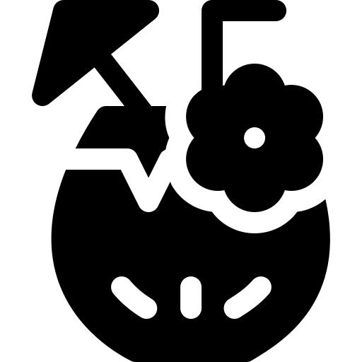 椰子饮料