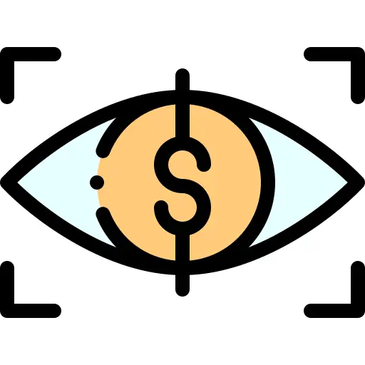 Vision