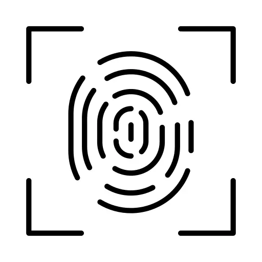 Fingerprint identification