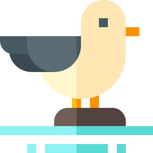 Seagull