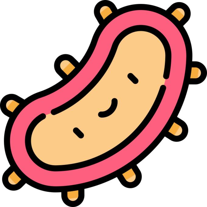 Bacteria