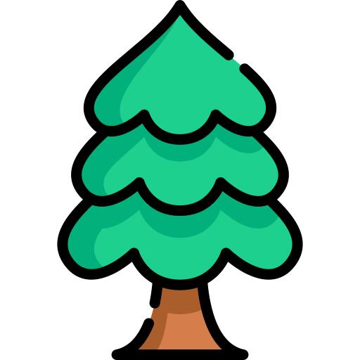 Pine