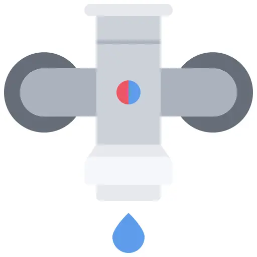 Valve
