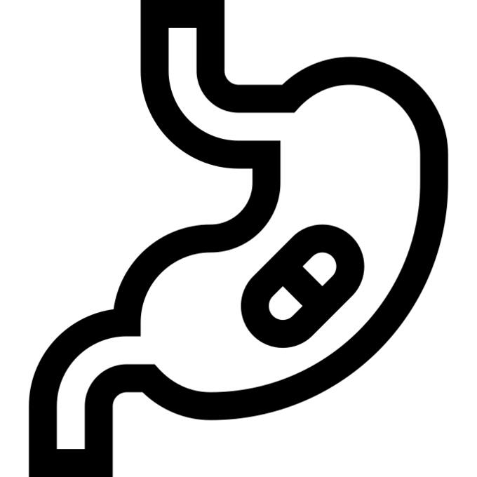 Stomach