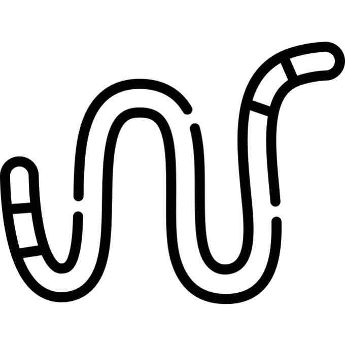 蚯蚓