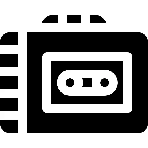 Voice recorder