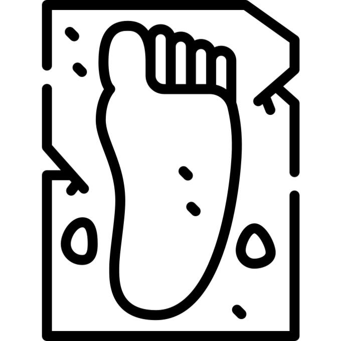 Footprint