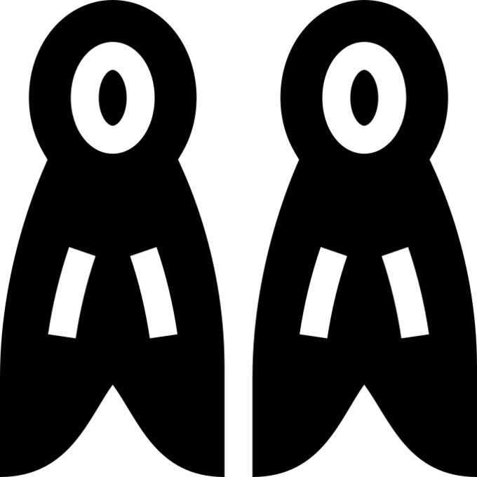 Flippers