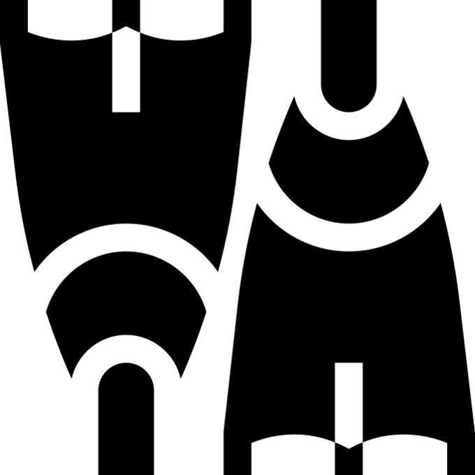 Flippers