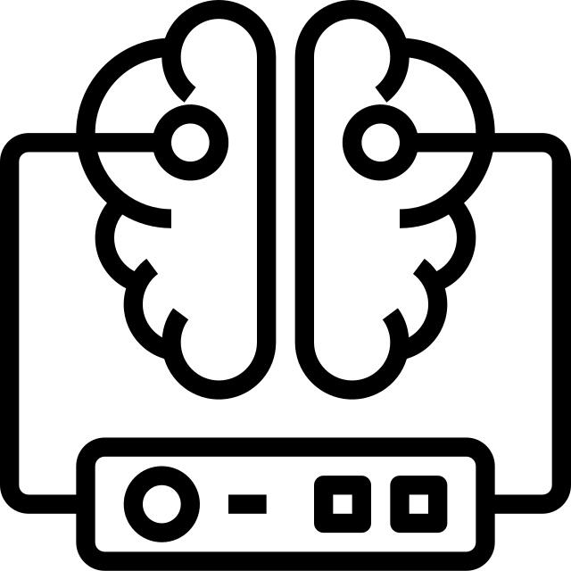 Brain