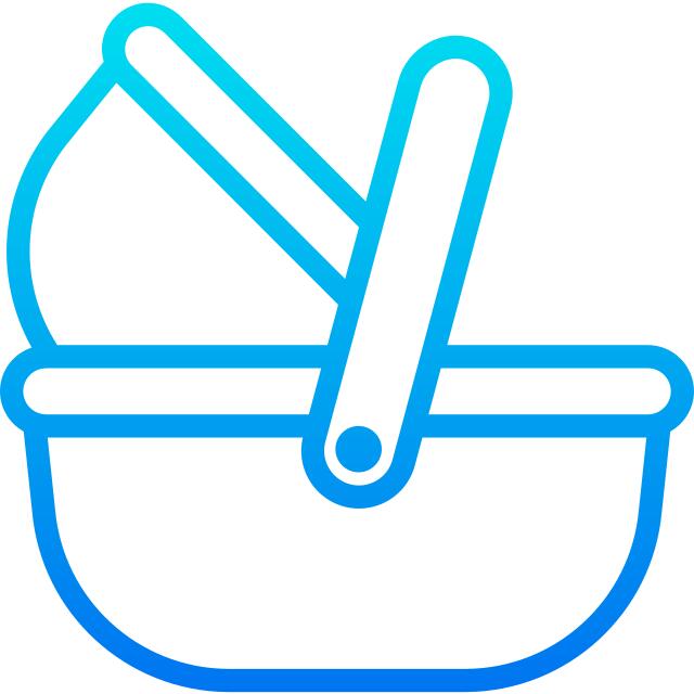 Moses basket