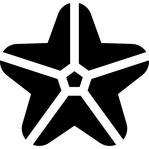 海星