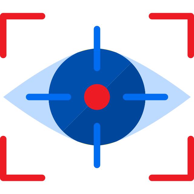 Vision