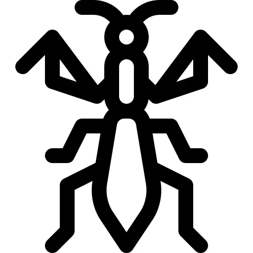 Mantis