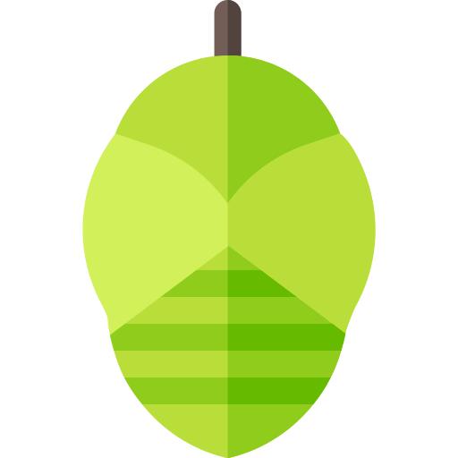 Chrysalid
