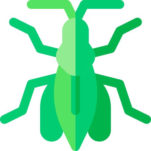 Grasshopper