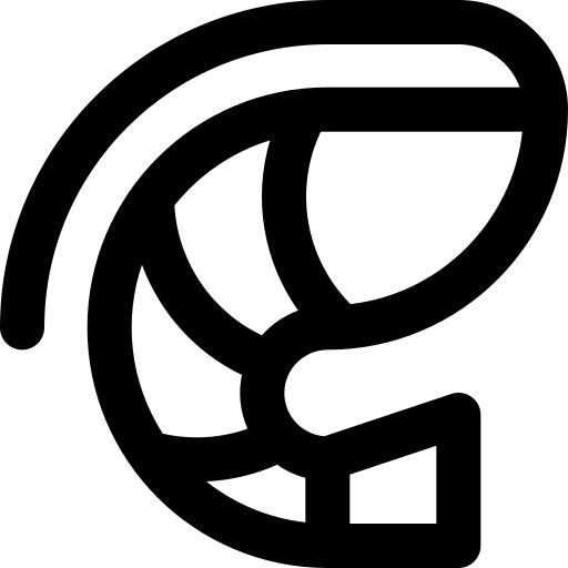虾