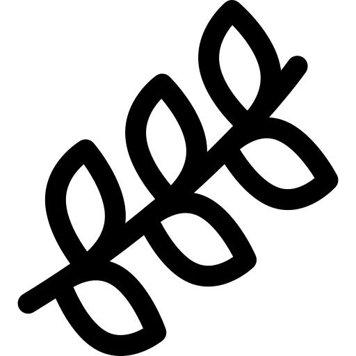 Branch