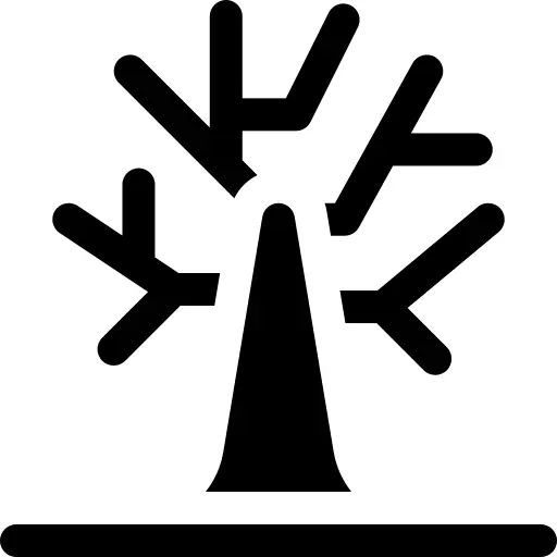 枯树