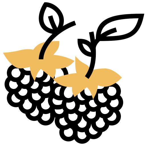 Raspberry