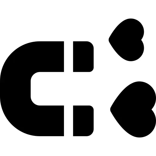 Magnet