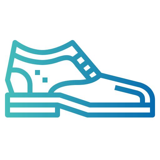 Shoe