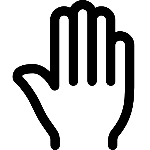 Five fingers