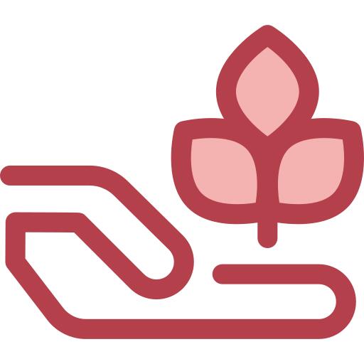 发芽
