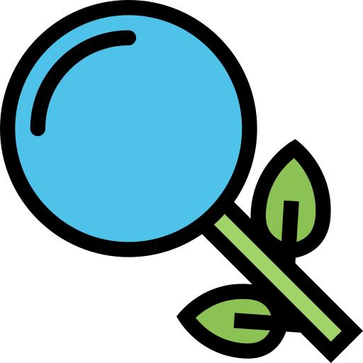 Search