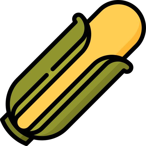 玉米