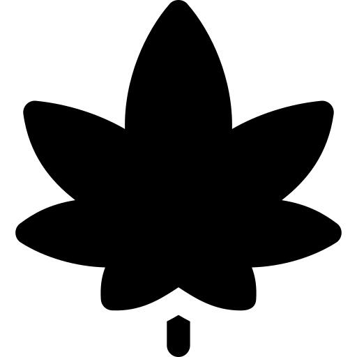 Cannabis