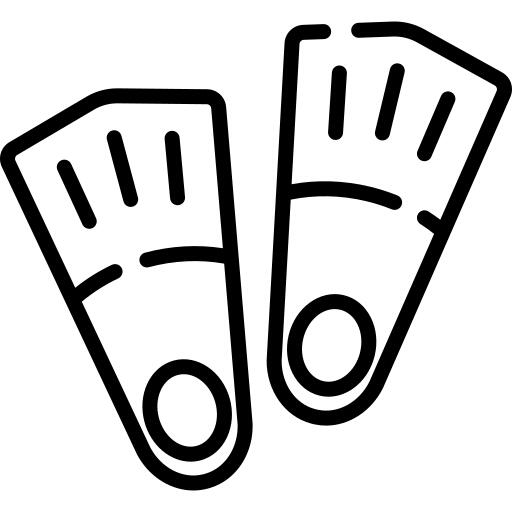 Flippers