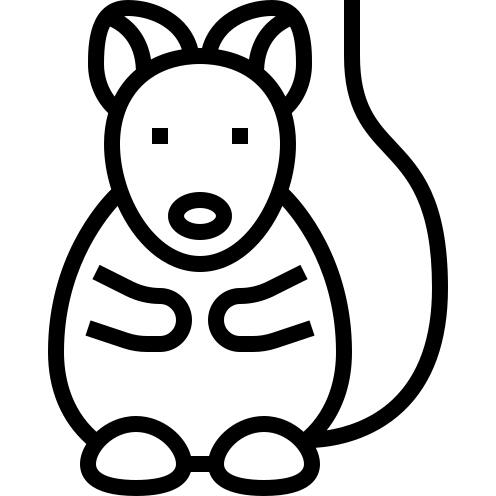 Rodent