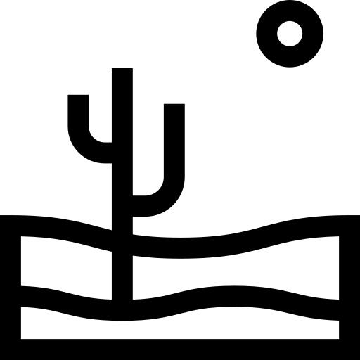 沙漠